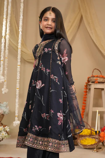 blue chiffon embroidered