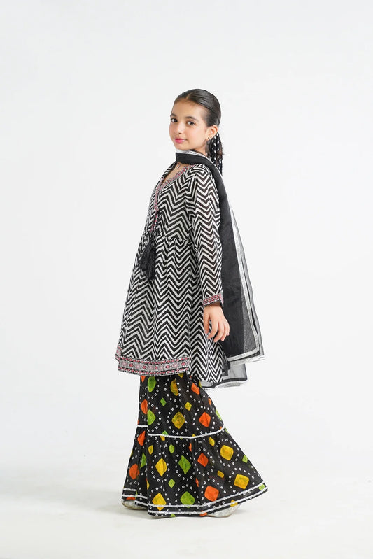 lilly 3pc sharara