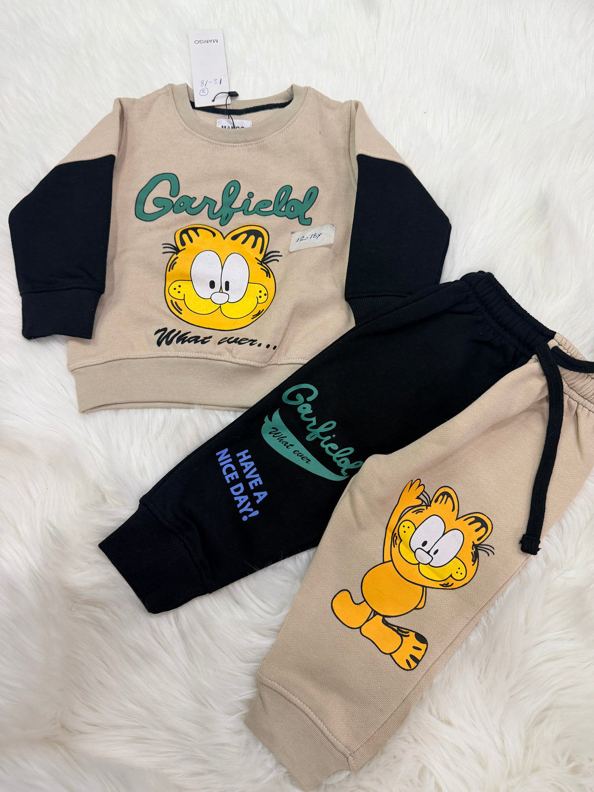 Garfield 25