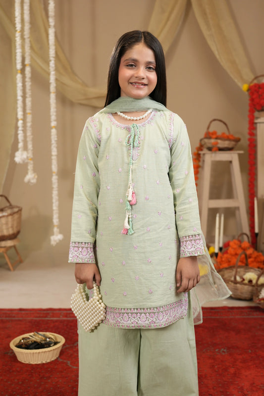 alqaswa 3pc mint embroidered dress