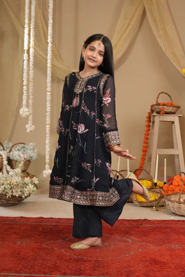 blue chiffon embroidered