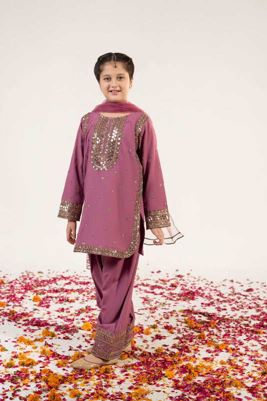 Girls Elegant Embroidered Traditional Suit