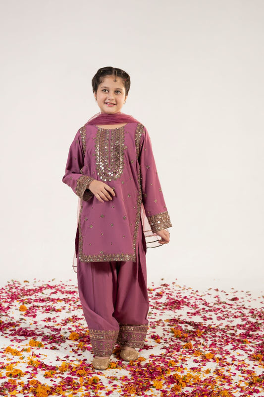Girls Elegant Embroidered Traditional Suit
